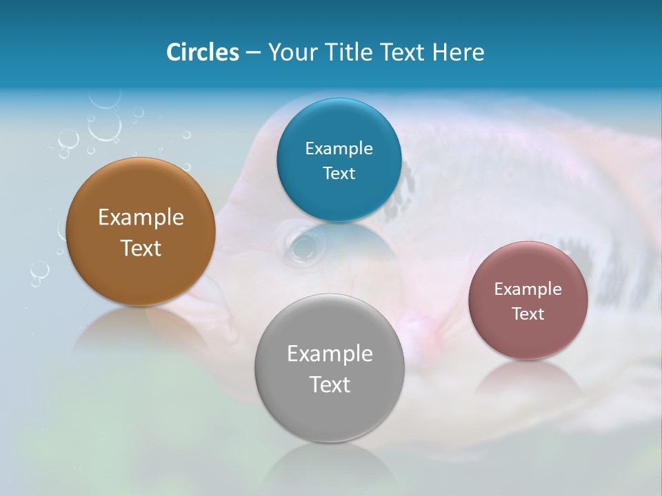 Life Image Organism PowerPoint Template