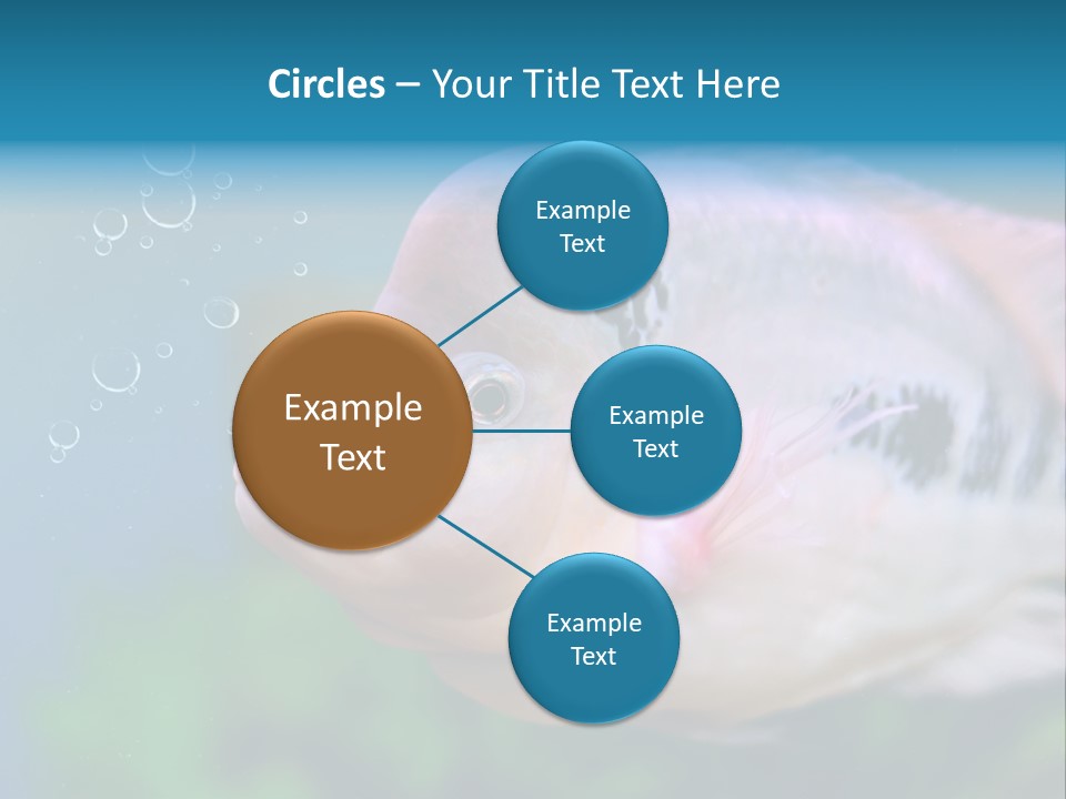 Life Image Organism PowerPoint Template