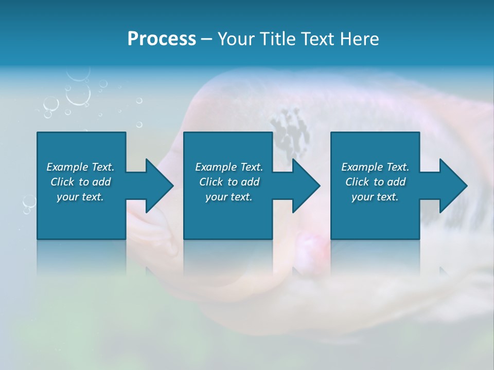 Life Image Organism PowerPoint Template