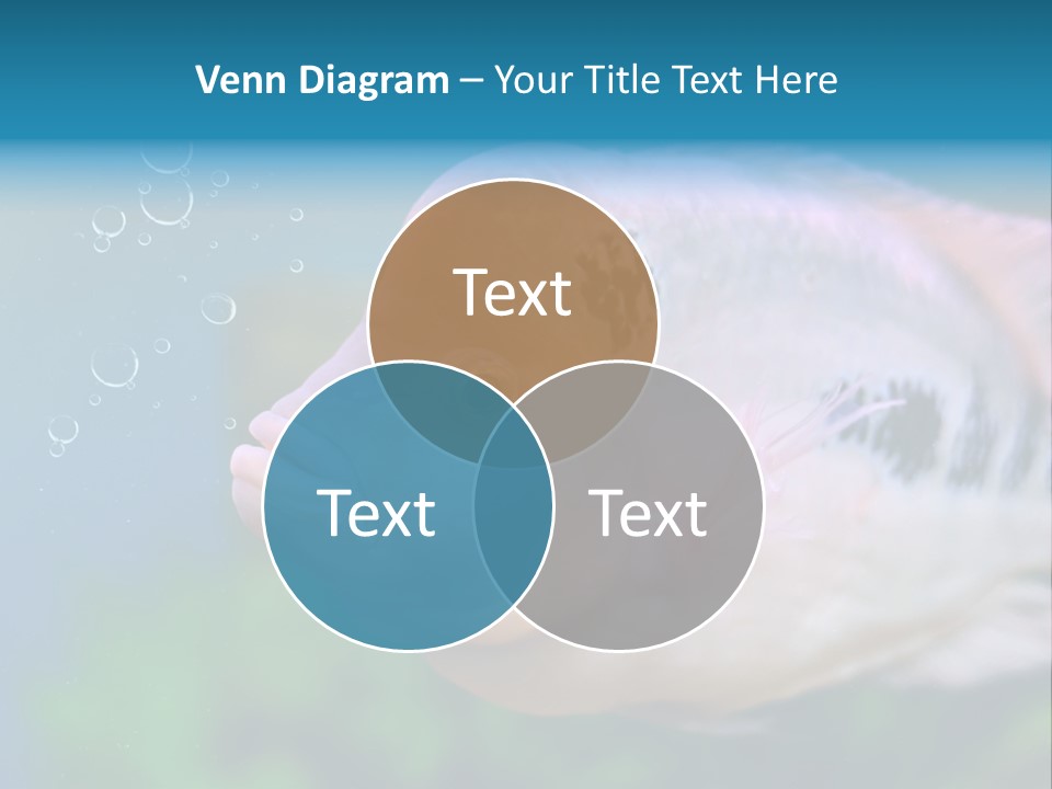 Life Image Organism PowerPoint Template
