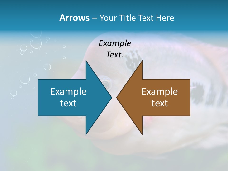 Life Image Organism PowerPoint Template
