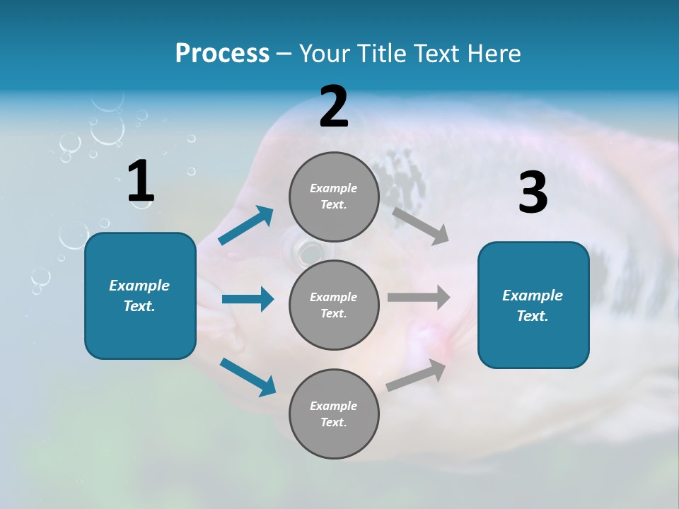 Life Image Organism PowerPoint Template