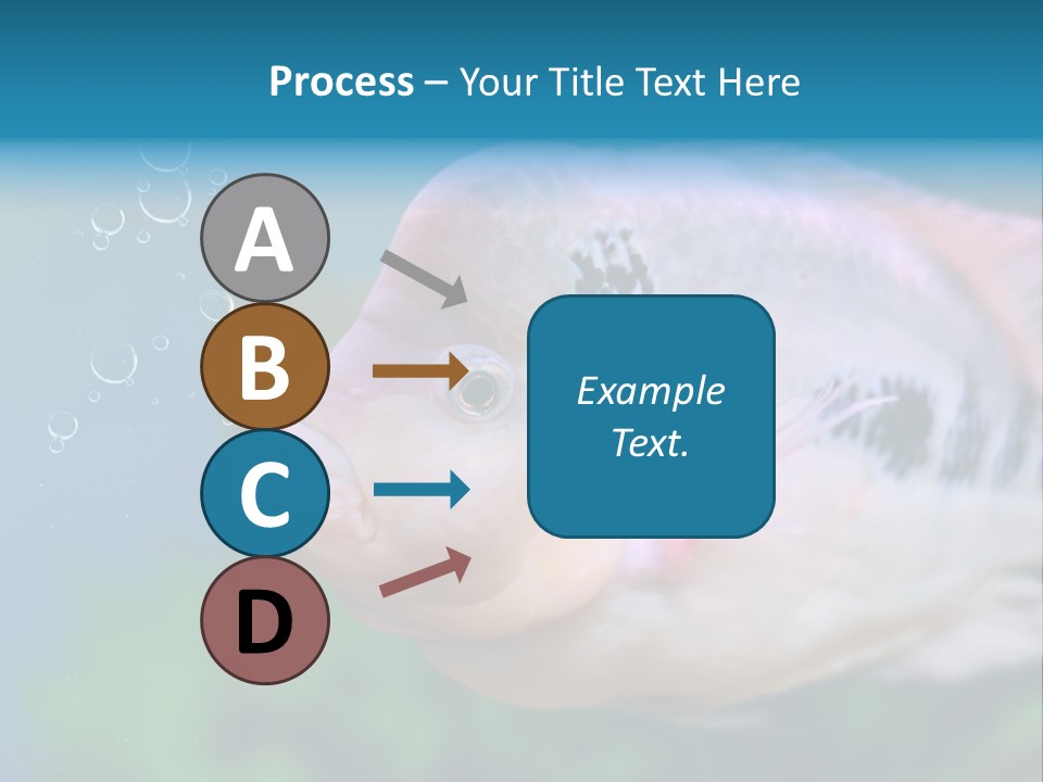 Life Image Organism PowerPoint Template