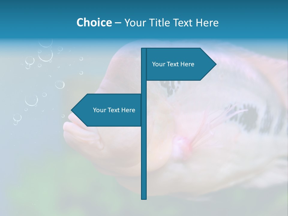 Life Image Organism PowerPoint Template