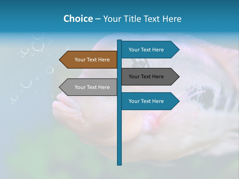 Life Image Organism PowerPoint Template