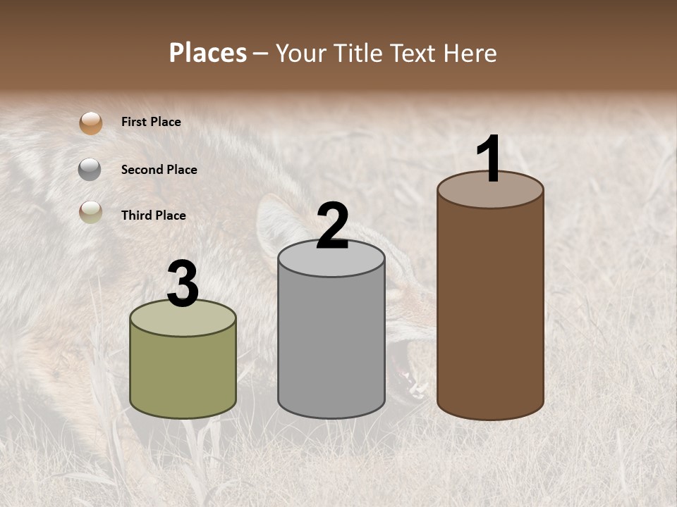 Animal Canada Rural PowerPoint Template