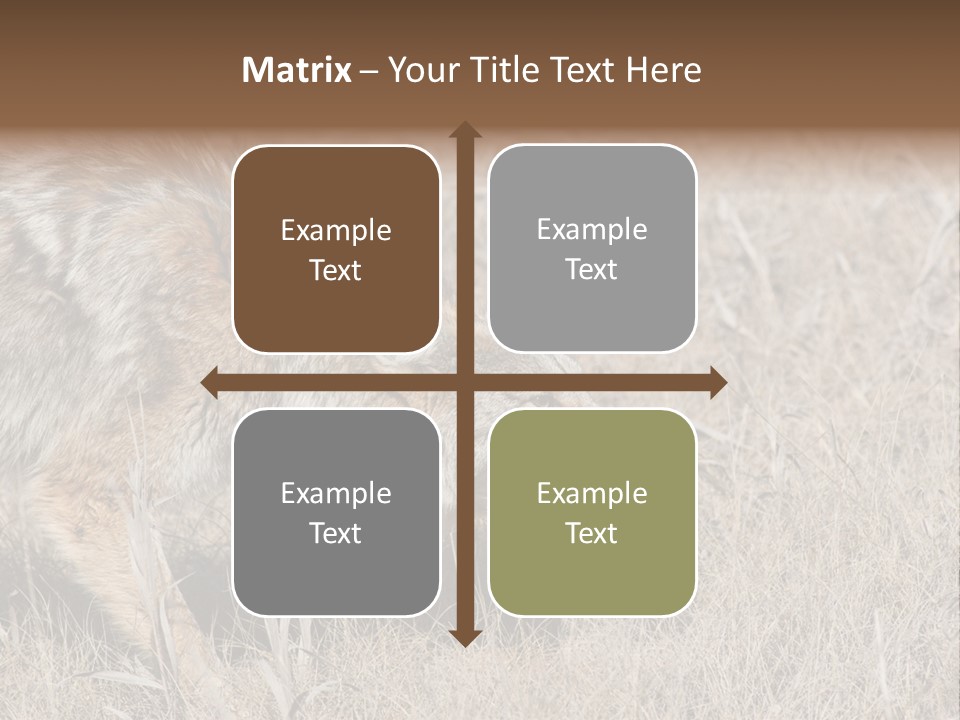 Animal Canada Rural PowerPoint Template