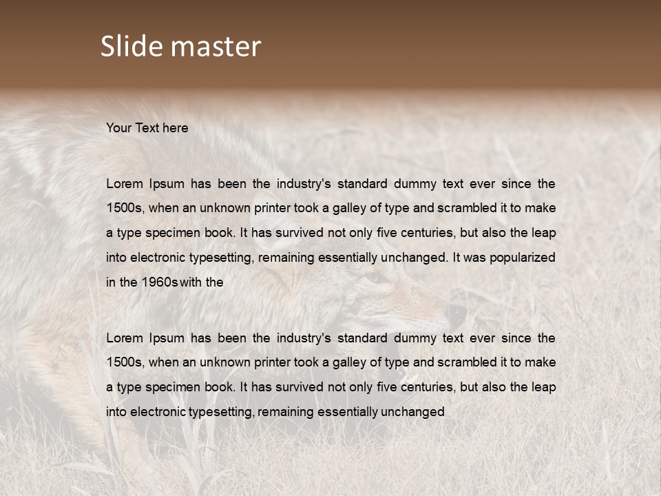 Animal Canada Rural PowerPoint Template