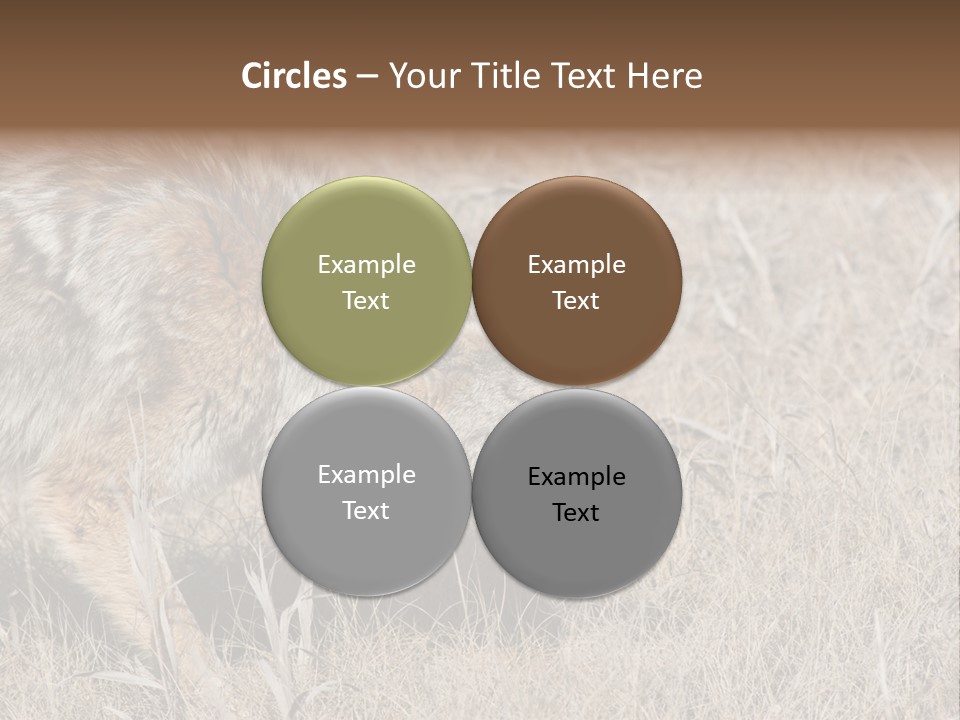 Animal Canada Rural PowerPoint Template