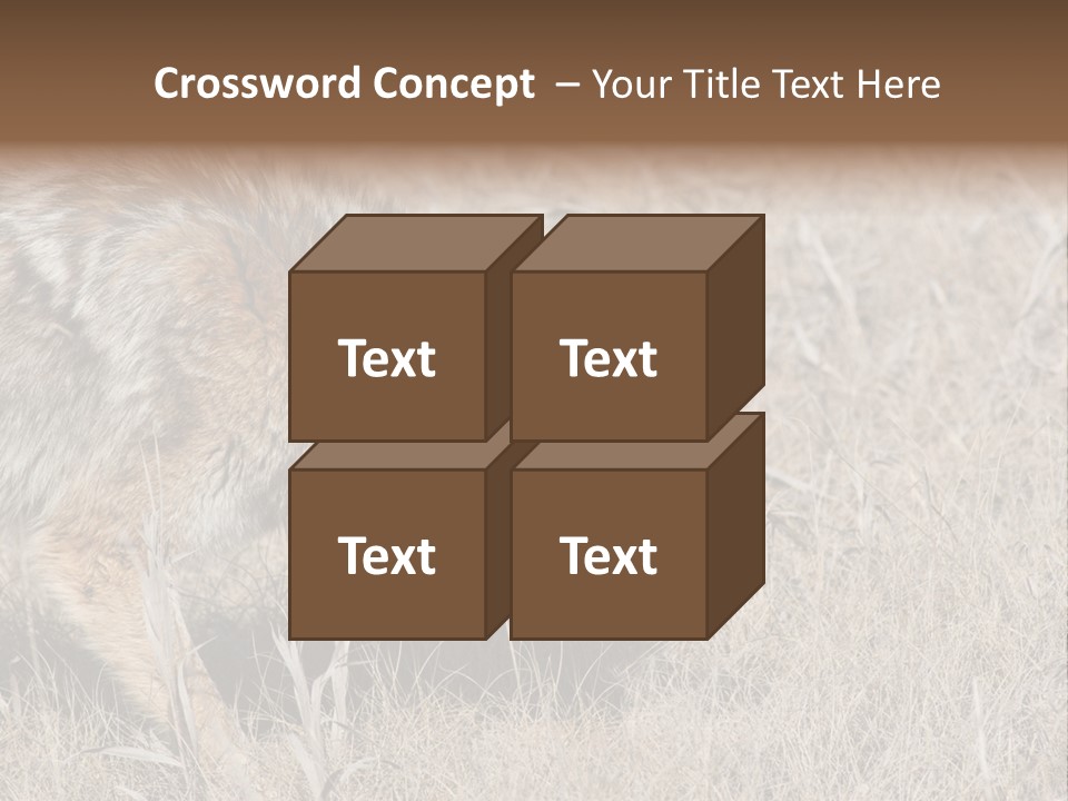 Animal Canada Rural PowerPoint Template