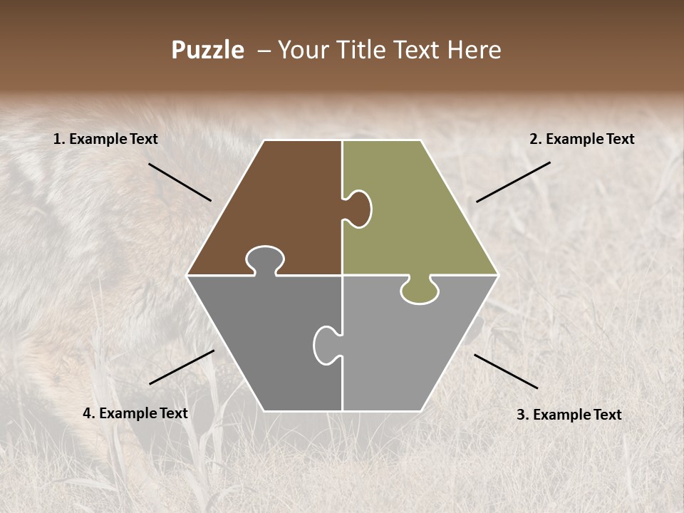 Animal Canada Rural PowerPoint Template