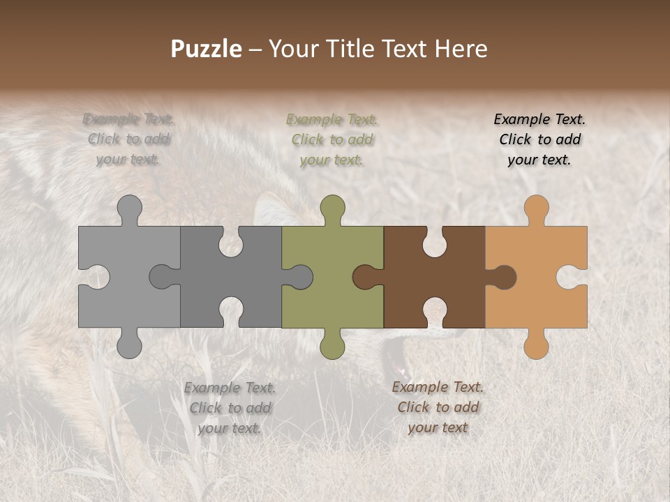 Animal Canada Rural PowerPoint Template