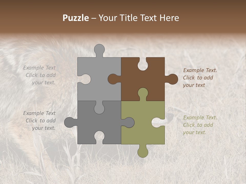 Animal Canada Rural PowerPoint Template