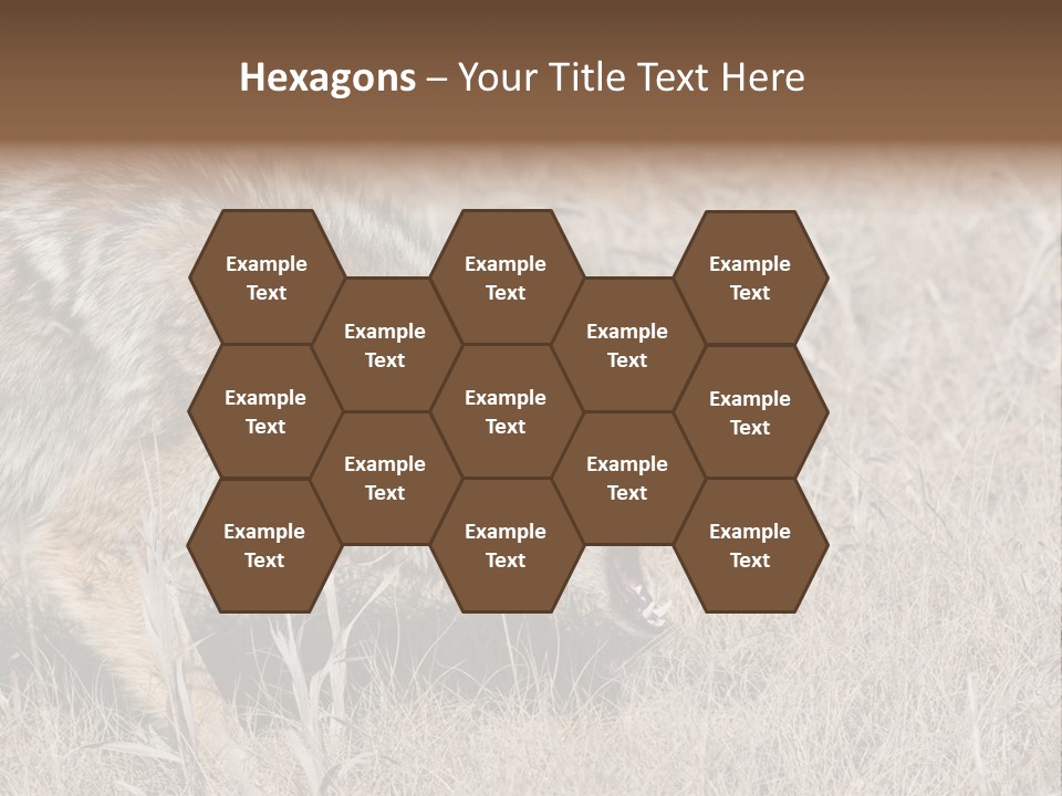 Animal Canada Rural PowerPoint Template