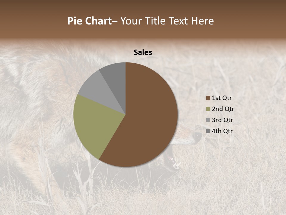 Animal Canada Rural PowerPoint Template