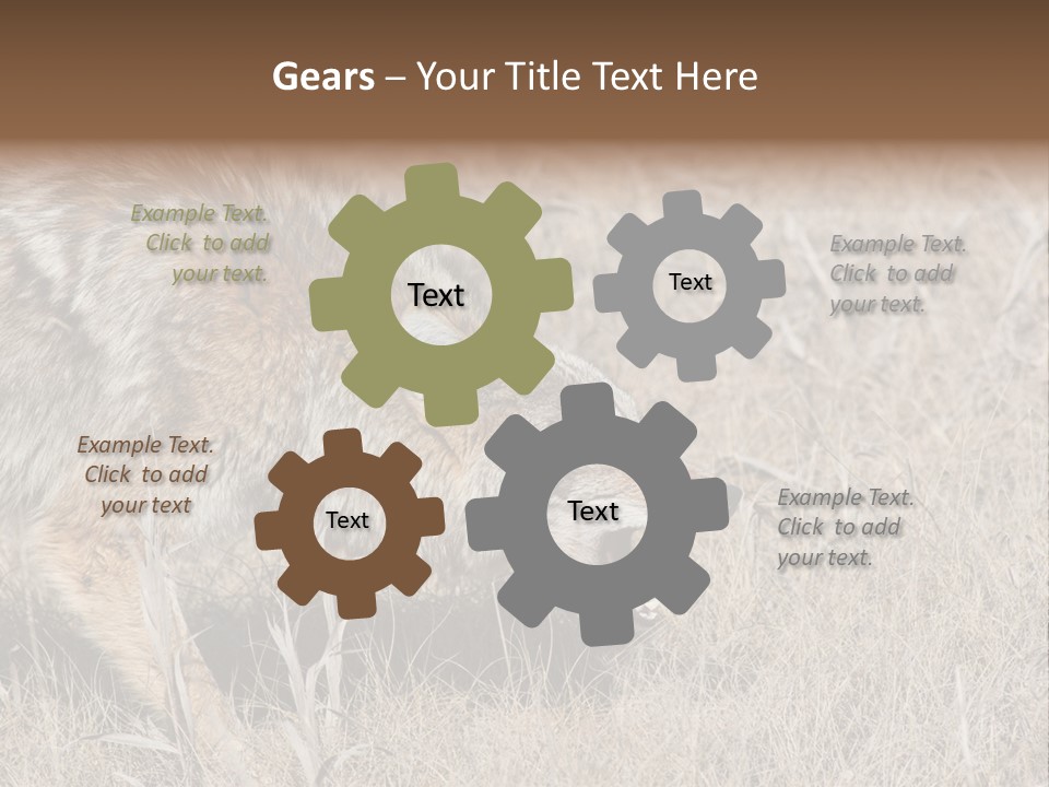 Animal Canada Rural PowerPoint Template