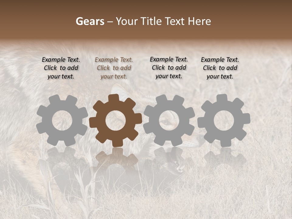 Animal Canada Rural PowerPoint Template