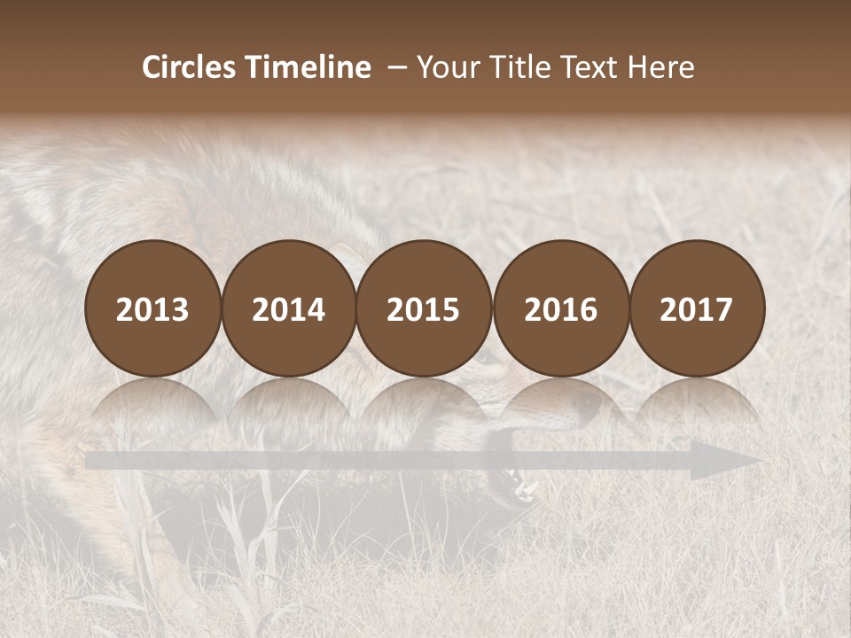 Animal Canada Rural PowerPoint Template