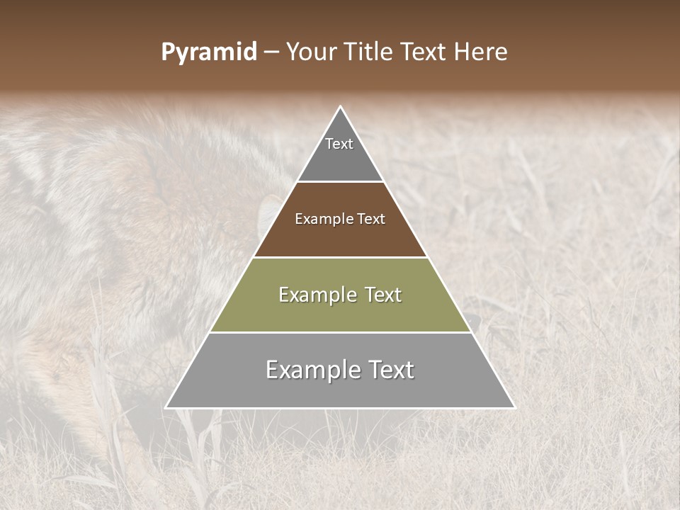 Animal Canada Rural PowerPoint Template