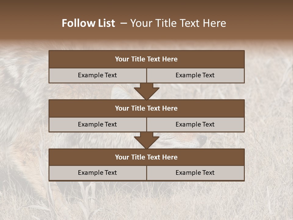 Animal Canada Rural PowerPoint Template