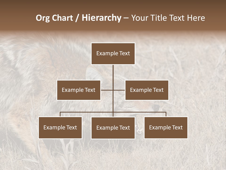 Animal Canada Rural PowerPoint Template