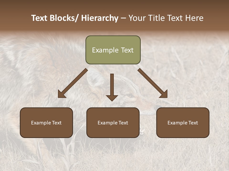 Animal Canada Rural PowerPoint Template