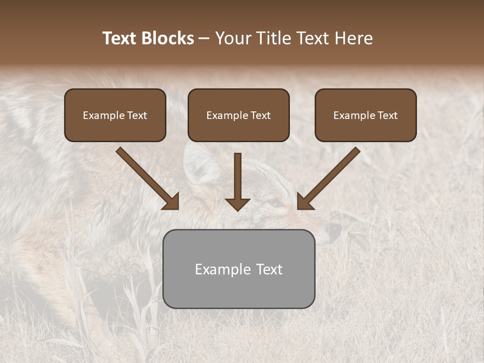 Animal Canada Rural PowerPoint Template