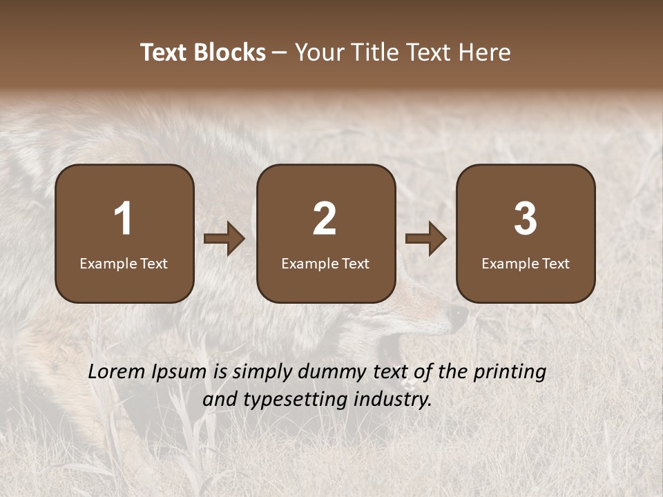 Animal Canada Rural PowerPoint Template