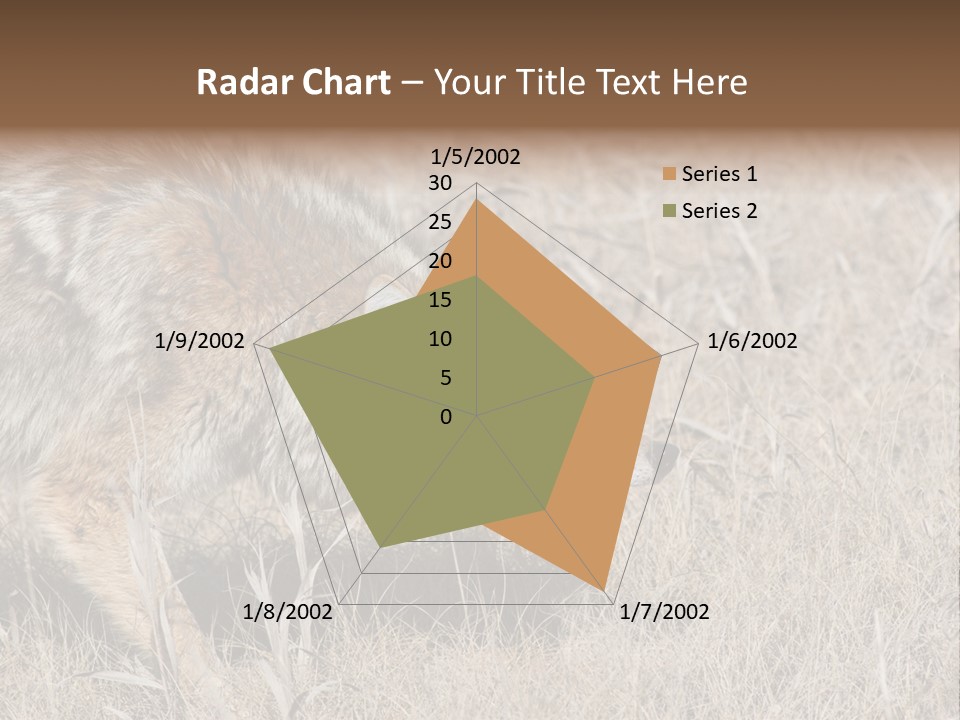 Animal Canada Rural PowerPoint Template