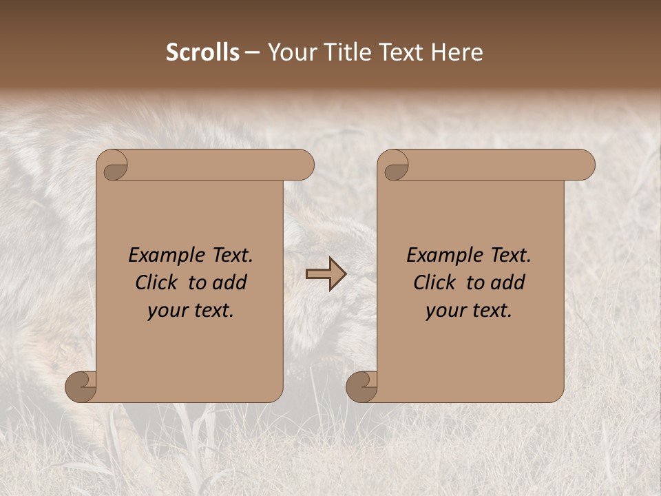 Animal Canada Rural PowerPoint Template
