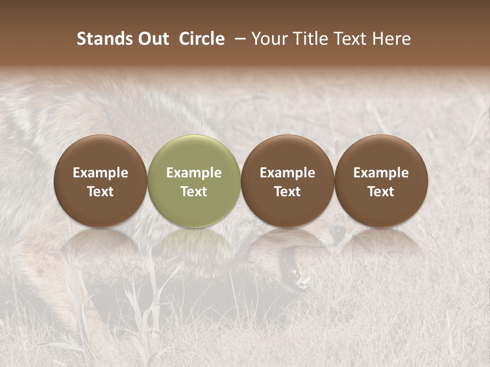 Animal Canada Rural PowerPoint Template