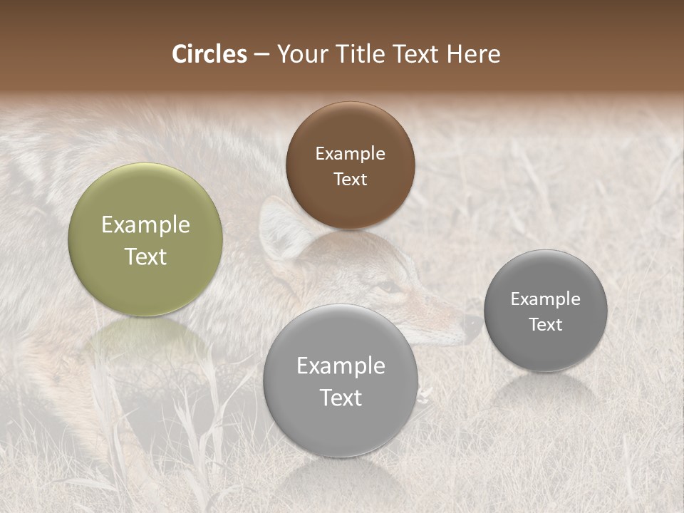 Animal Canada Rural PowerPoint Template