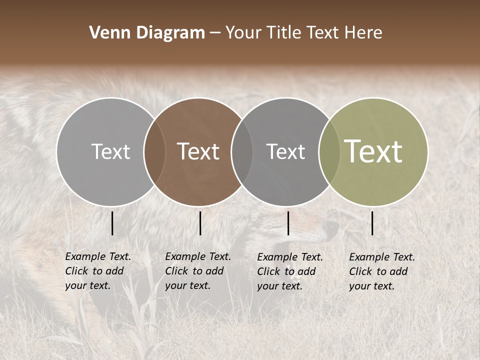 Animal Canada Rural PowerPoint Template