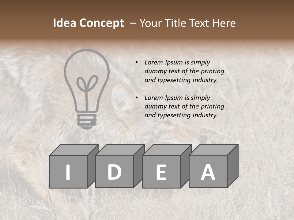 Animal Canada Rural PowerPoint Template