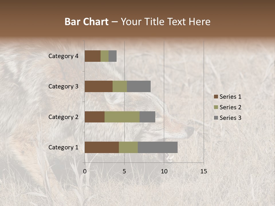Animal Canada Rural PowerPoint Template