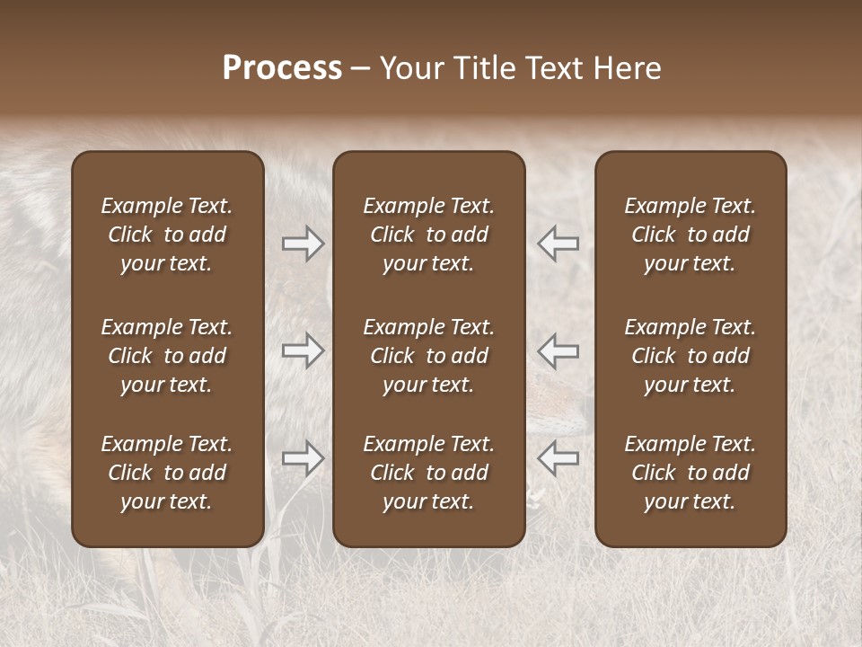 Animal Canada Rural PowerPoint Template
