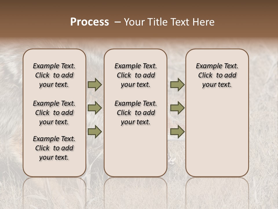 Animal Canada Rural PowerPoint Template