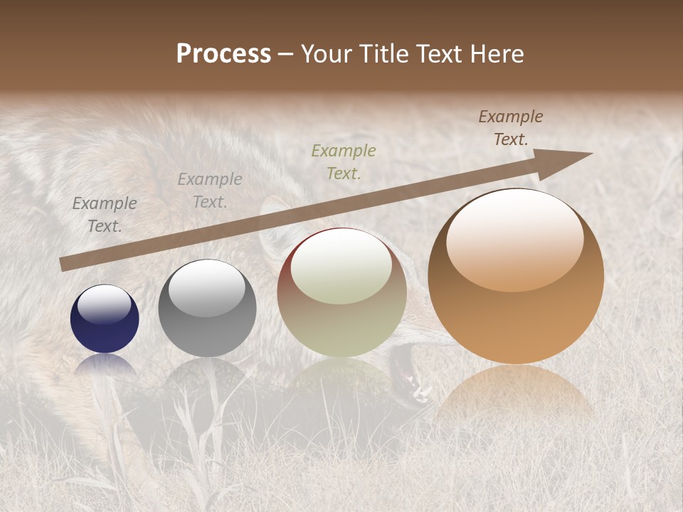 Animal Canada Rural PowerPoint Template