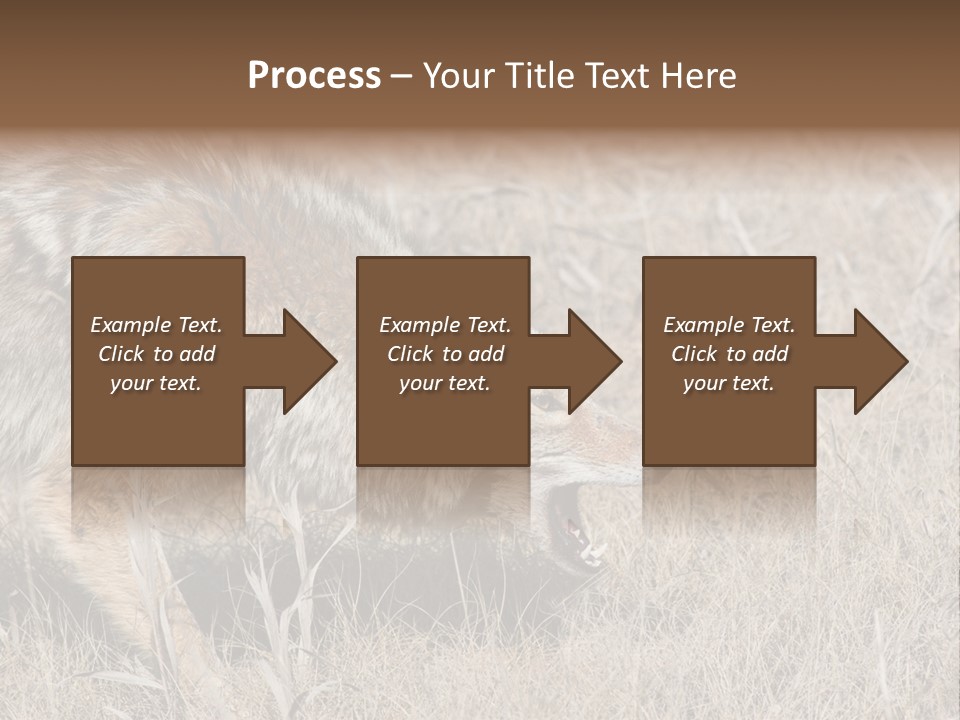 Animal Canada Rural PowerPoint Template