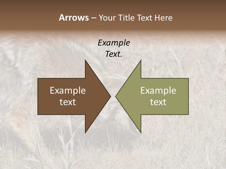 Animal Canada Rural PowerPoint Template