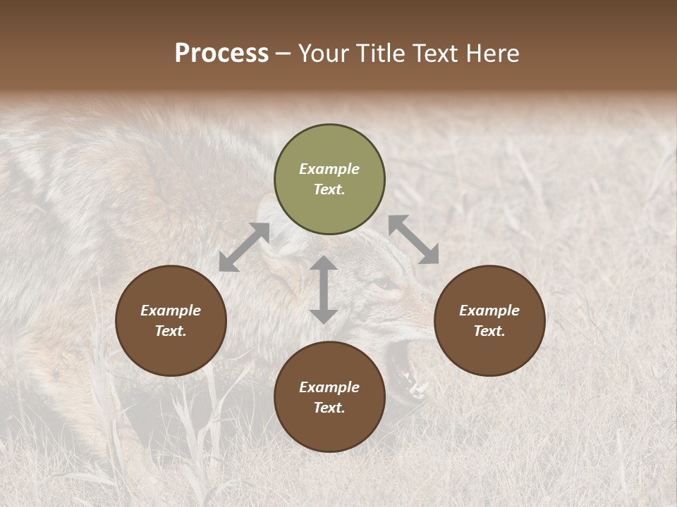 Animal Canada Rural PowerPoint Template