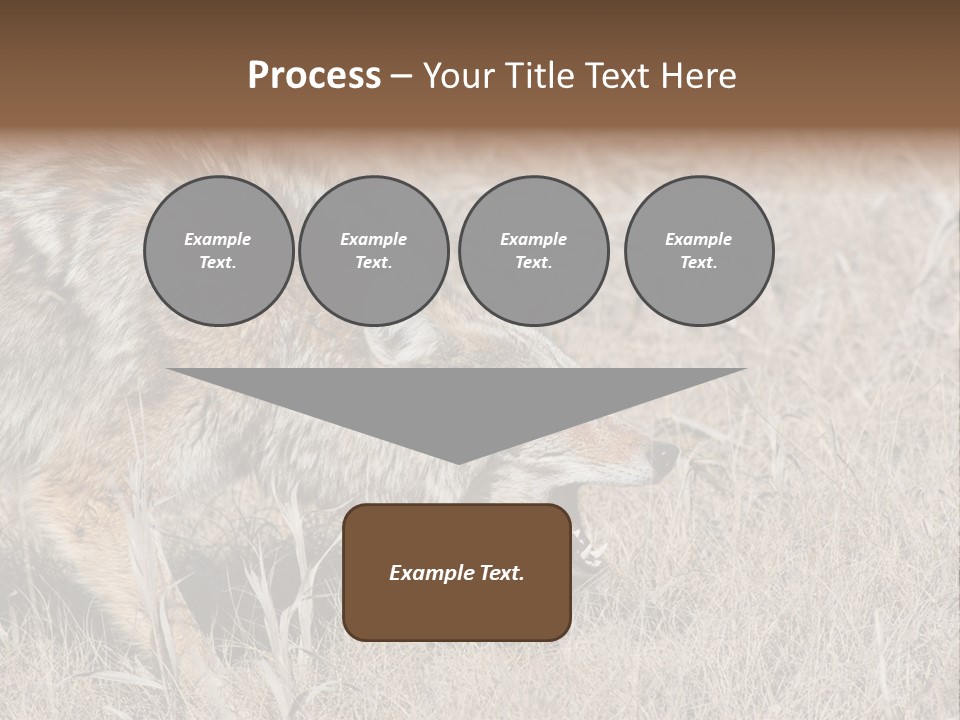 Animal Canada Rural PowerPoint Template