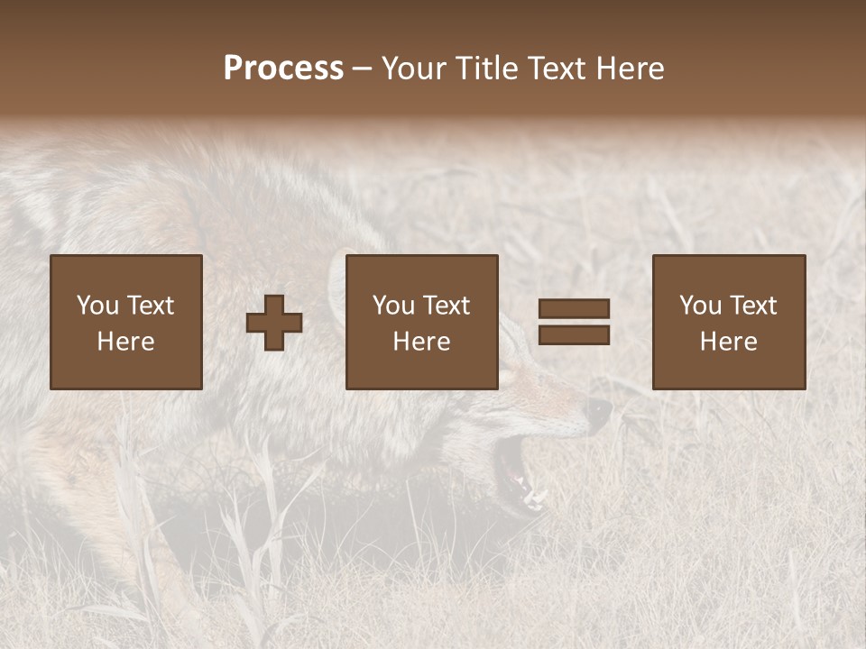 Animal Canada Rural PowerPoint Template