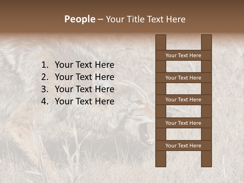 Animal Canada Rural PowerPoint Template