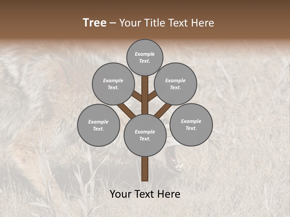 Animal Canada Rural PowerPoint Template