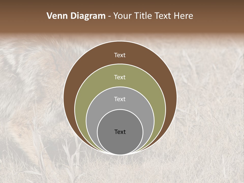 Animal Canada Rural PowerPoint Template