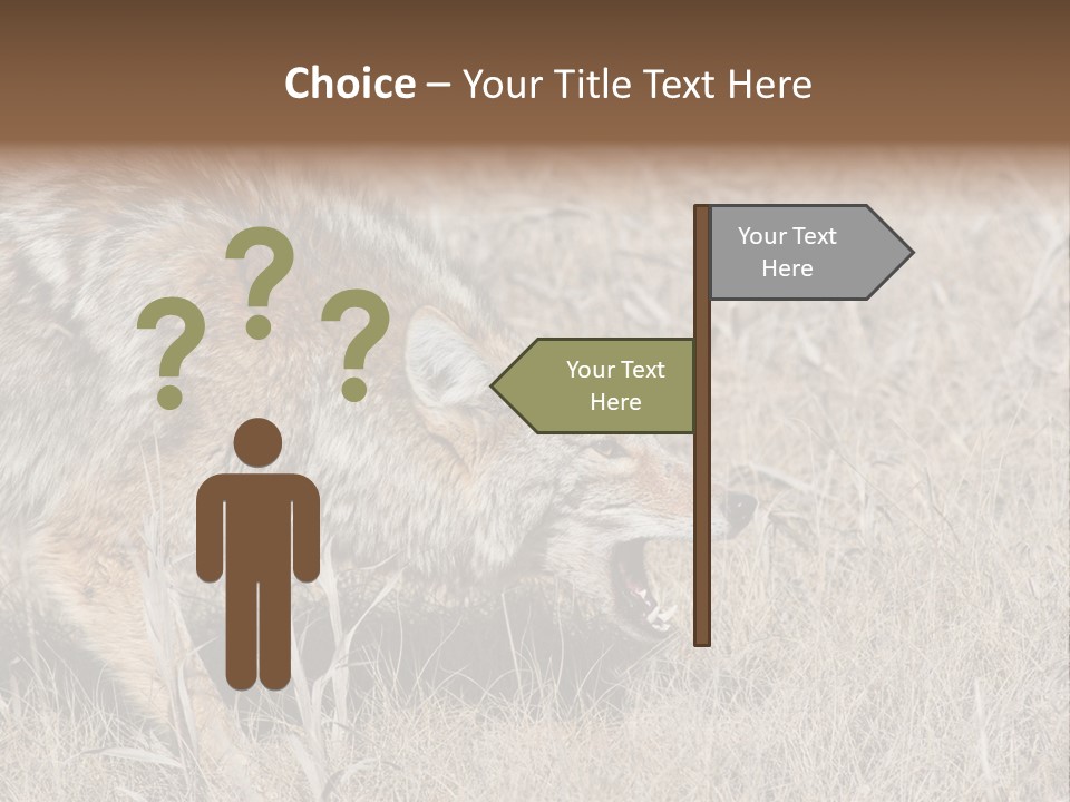 Animal Canada Rural PowerPoint Template