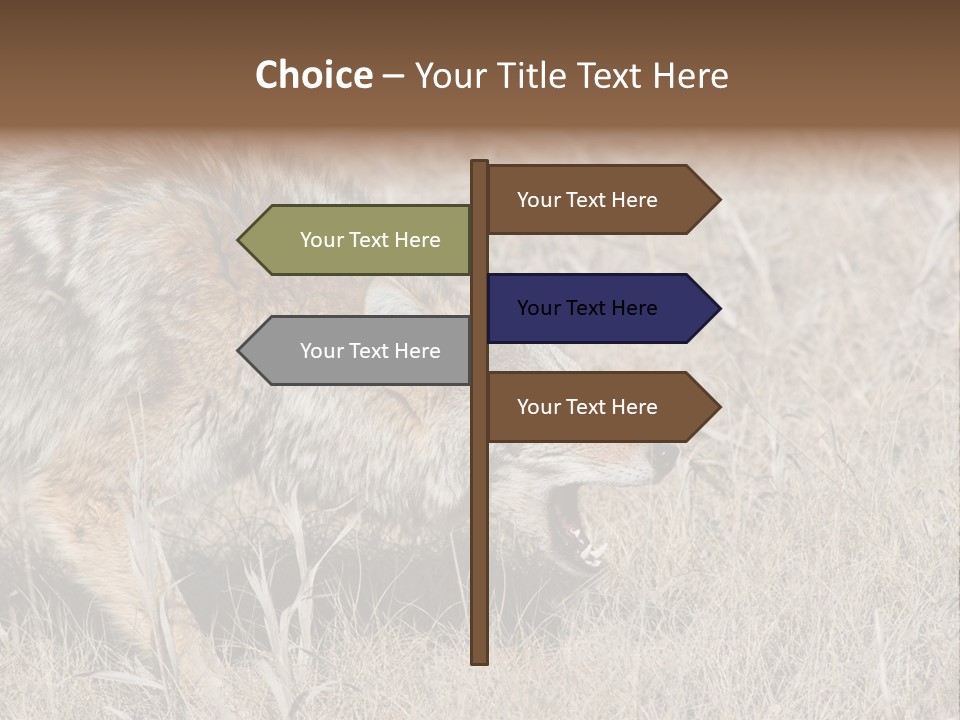 Animal Canada Rural PowerPoint Template