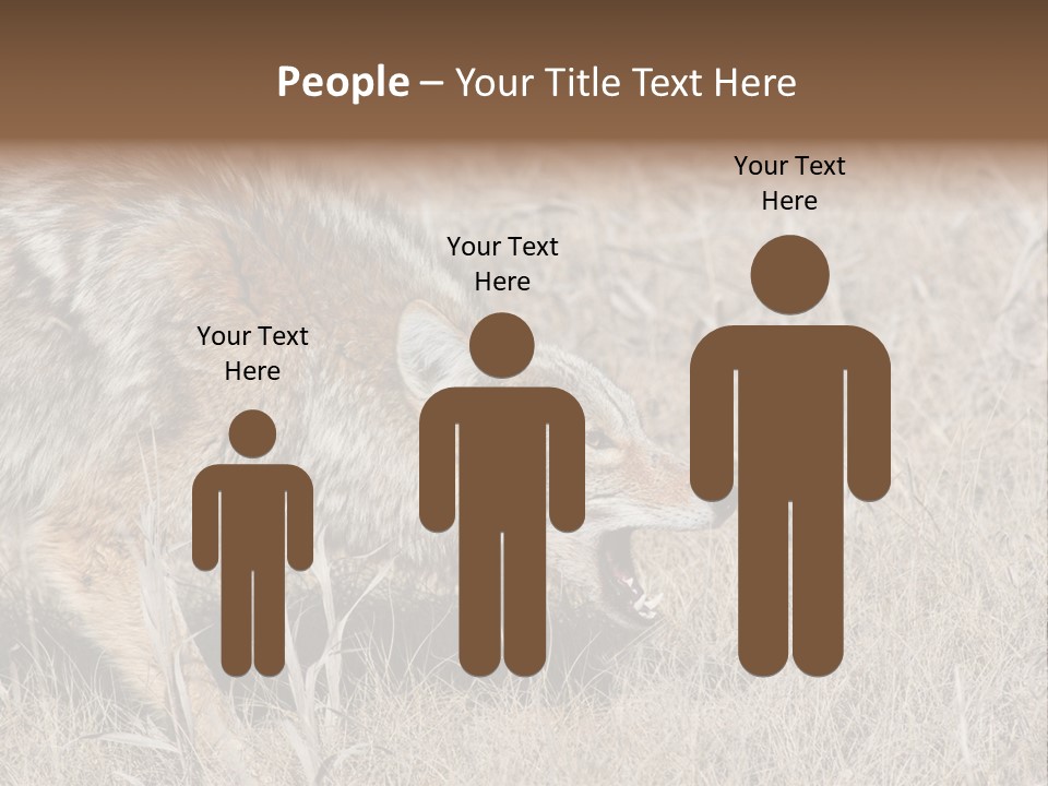 Animal Canada Rural PowerPoint Template