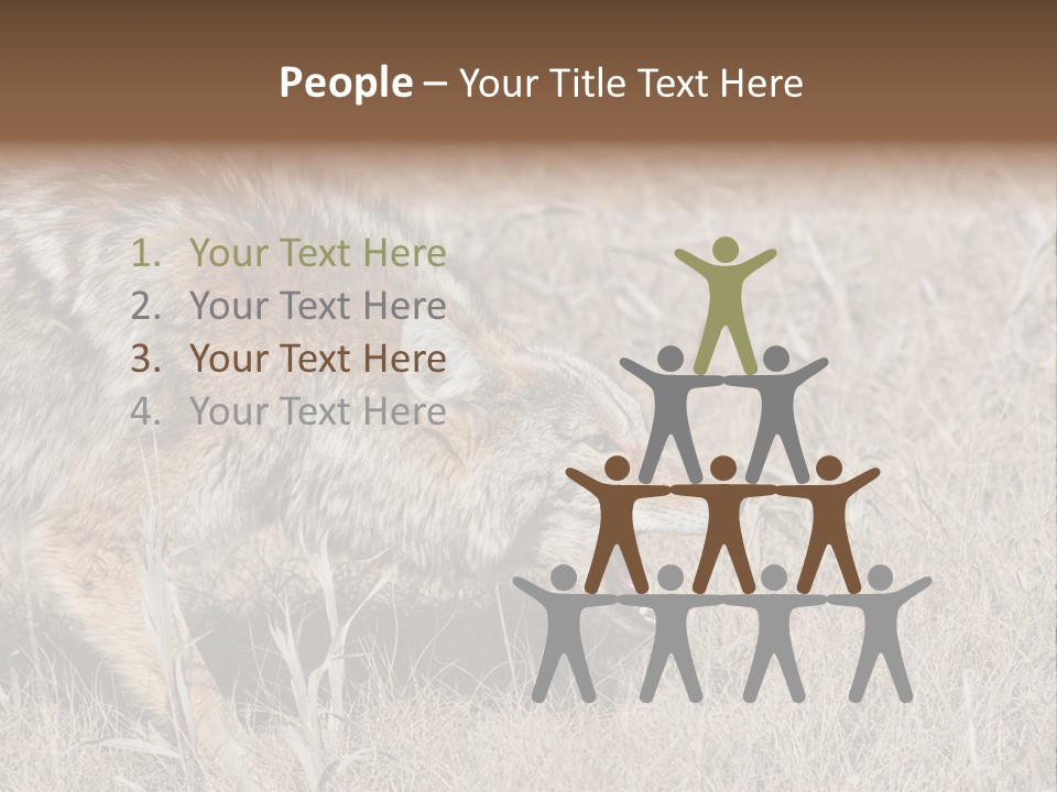 Animal Canada Rural PowerPoint Template